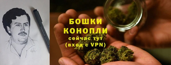 а пвп мука Инсар