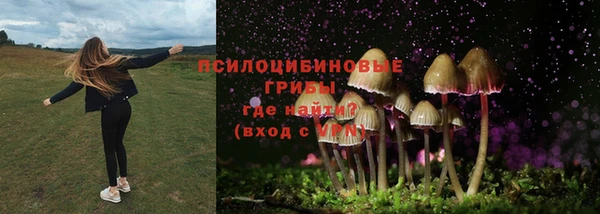 а пвп мука Инсар