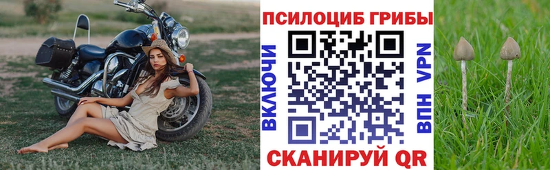 Галлюциногенные грибы Cubensis  сайты даркнета телеграм  Котово  наркошоп  ссылка на мегу  